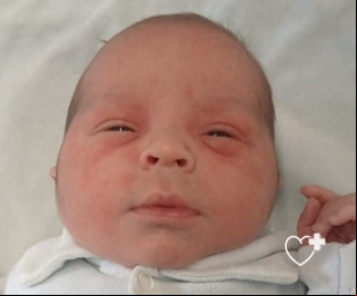Davi Lucca