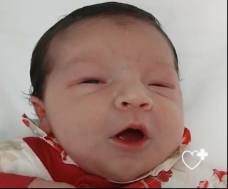 Lavinia
